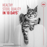 Royal Canin Digestive Airlift Mousse Adult Wet Cat Food 12 x 85g
