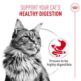 Royal Canin Digestive Airlift Mousse Adult Wet Cat Food 12 x 85g