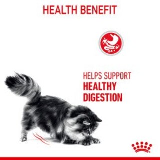 Royal Canin Feline Care Nutrition Digestive Care Adult Dry Cat Food - 400g