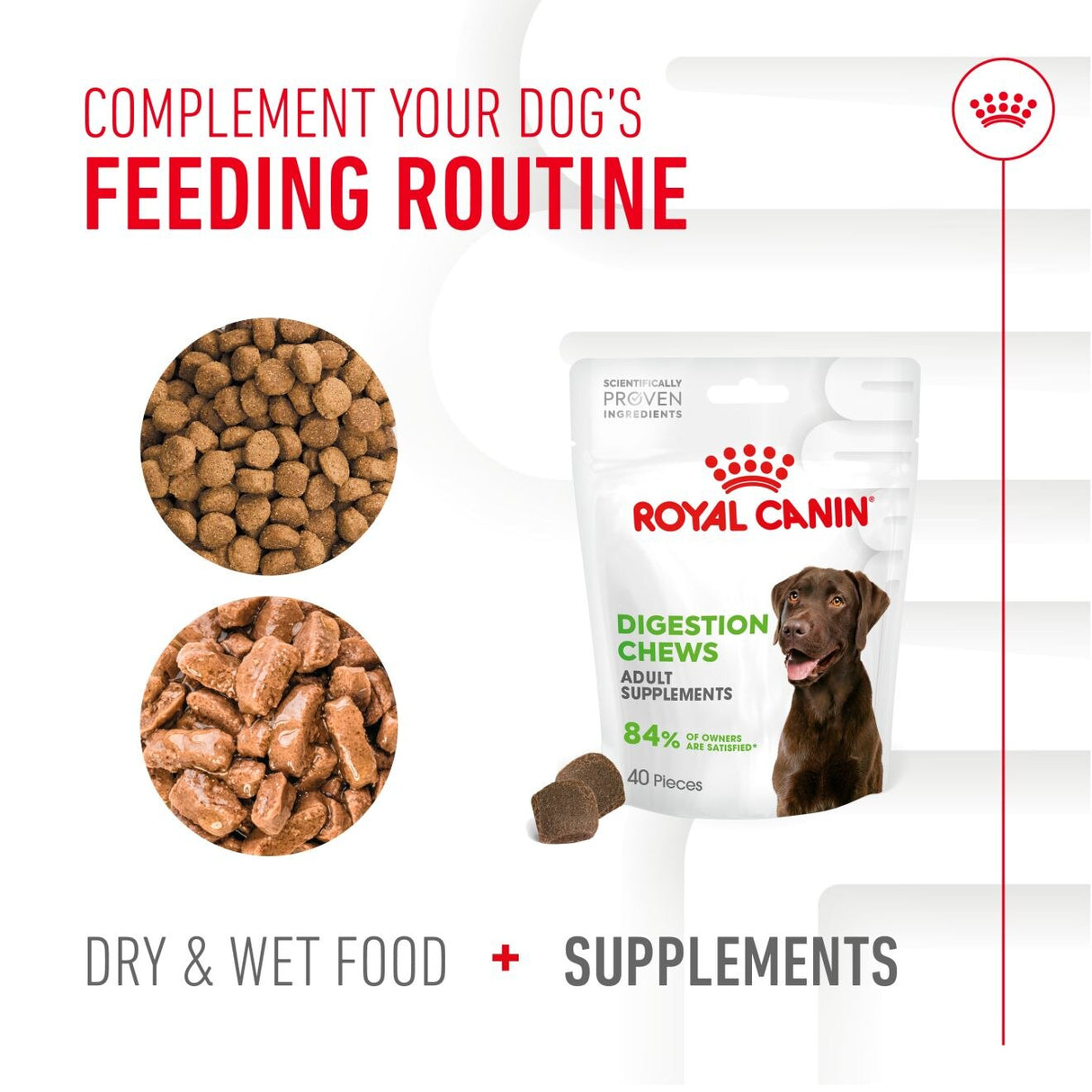 Royal Canin Dog Supplement for Digestion Soft Chews - 160g