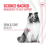 Royal Canin Dog Supplement for Skin & Coat Soft Chews - 240g