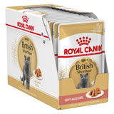 Royal Canin British Shorthair Cat Food – Breed Nutrition