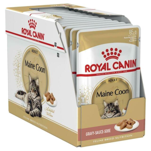Royal Canin Feline Adult Maine Coon in Gravy - 12x85g