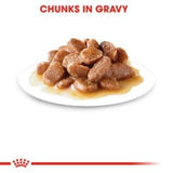 Royal Canin Feline Care Nutrition Urinary Care Wet Cat Food In Gravy - 48x85g