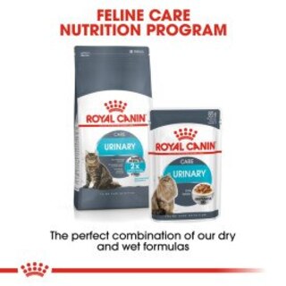 Royal Canin Feline Care Nutrition Urinary Care Wet Cat Food In Gravy - 48x85g