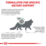 Royal Canin Diabetic Adult Dry Cat Food - 3.5kg