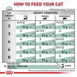 Royal Canin Diabetic Thin Slices in Gravy Adult Wet Cat Food Pouches - 48 x 85g