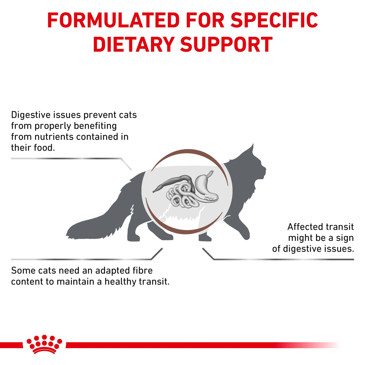 Royal Canin Gastrointestinal Fibre Response Adult Dry Cat Food - 4kg