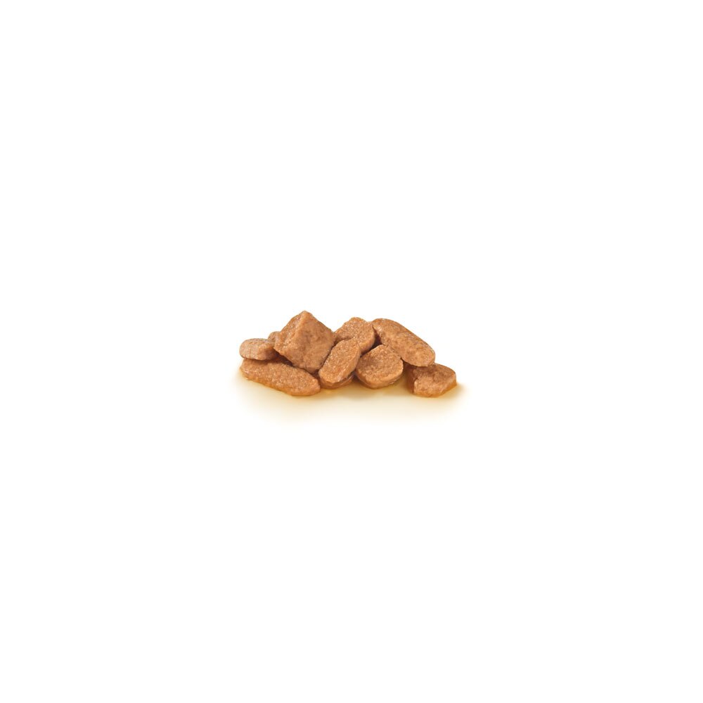 Royal Canin Veterinary Diet Feline Gastrointestinal Wet Cat Food Pouches -