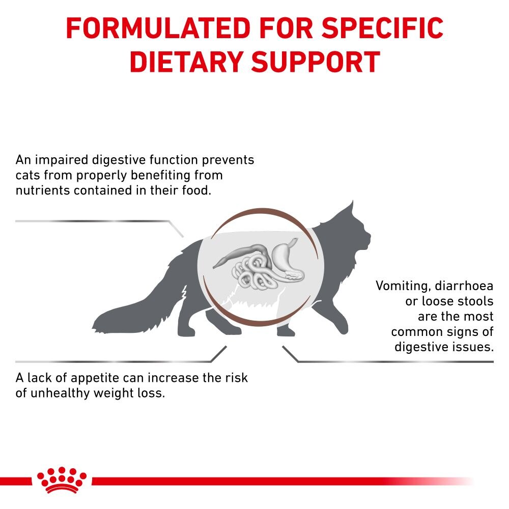Royal Canin Gastrointestinal Adult Dry Cat Food - 4kg