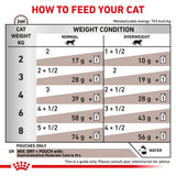 Royal Canin Gastrointestinal Moderate Calorie Thin Slices in Gravy Adult Wet Cat Food Pouches - 48 x 85g