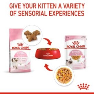 Royal Canin Feline Health Nutrition Kitten Wet Cat Food In Jelly - 48 x 85g