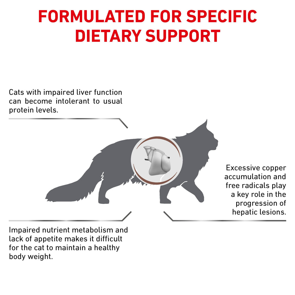 Royal Canin Hepatic Adult Dry Cat Food - 4kg
