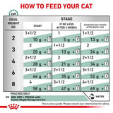 Royal Canin Satiety Weight Management Thin Slices In Gravy Adult Wet Cat Food Pouches - 48 x 85g