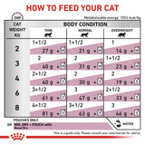 Royal Canin Veterinary Diet Feline Renal Wet Cat Food Pouches Loaf - 12 x 85g