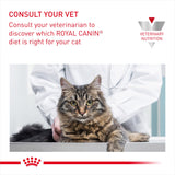 Royal Canin Veterinary Diet Feline Renal Special Dry Cat Food - 2kg