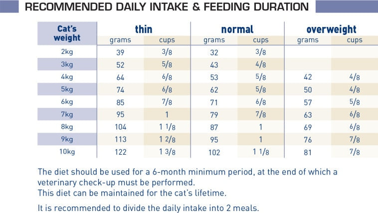 Royal Canin Veterinary Diet Feline Renal Special Dry Cat Food - 2kg