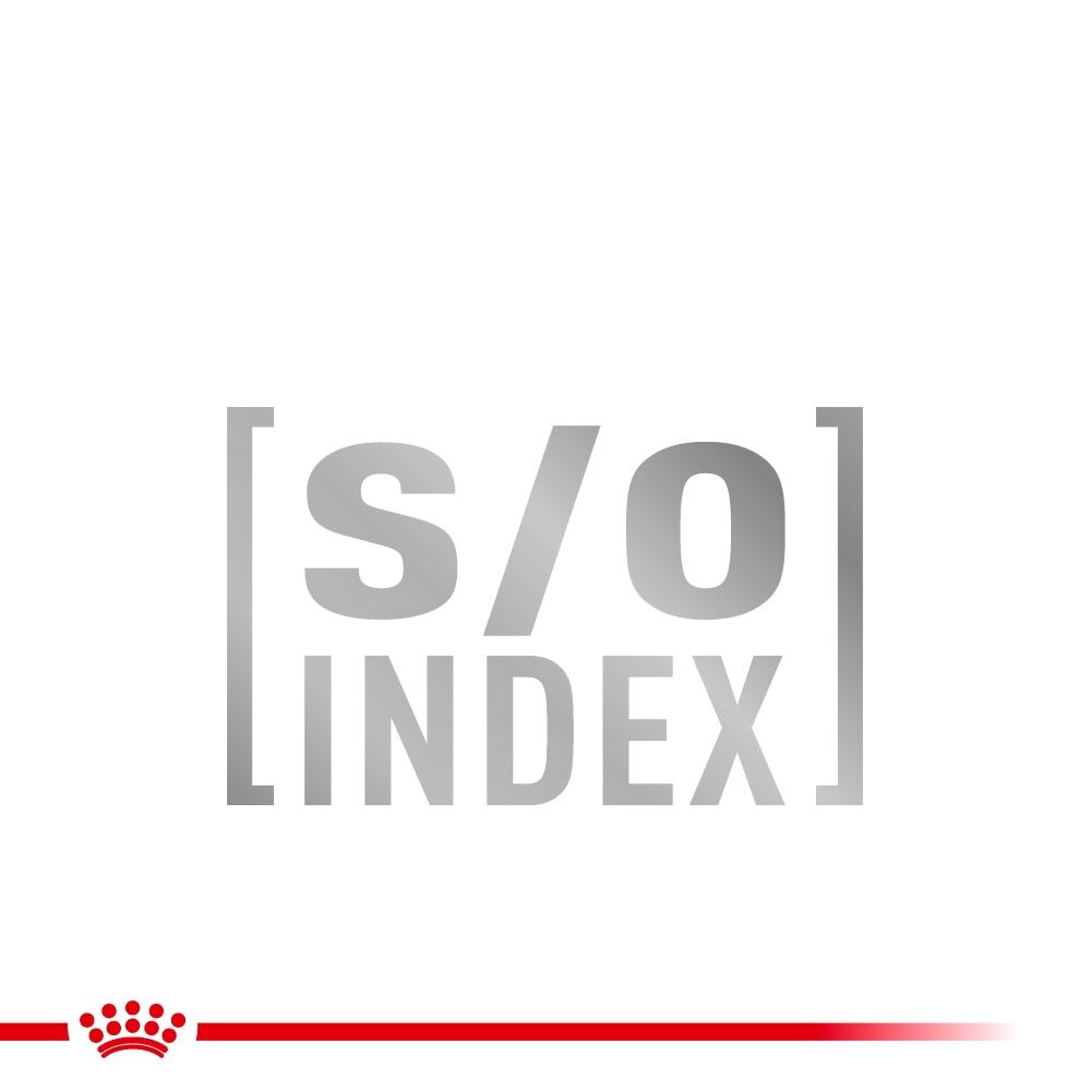 Royal Canin Satiety Weight Management Adult Dry Cat Food - 1.5kg