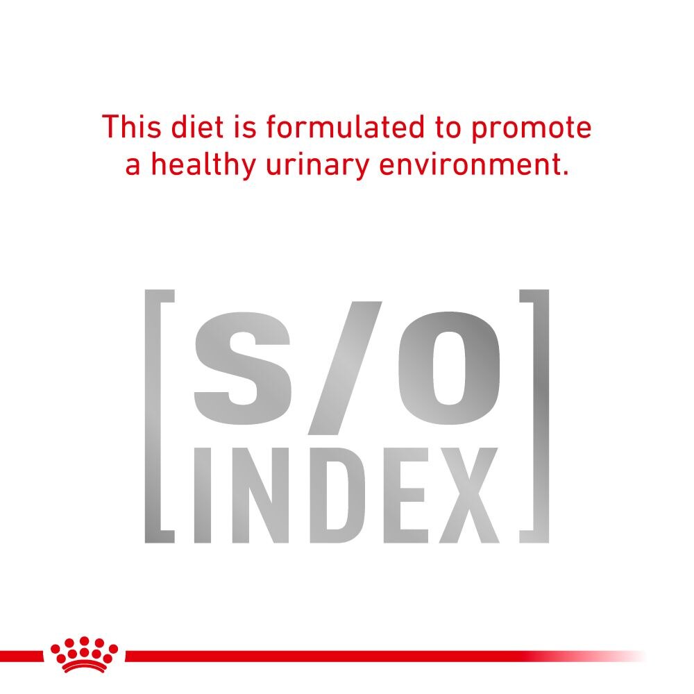Royal Canin Sensitivity Control Chicken With Rice Adult Wet Cat Food - 48 x 85g