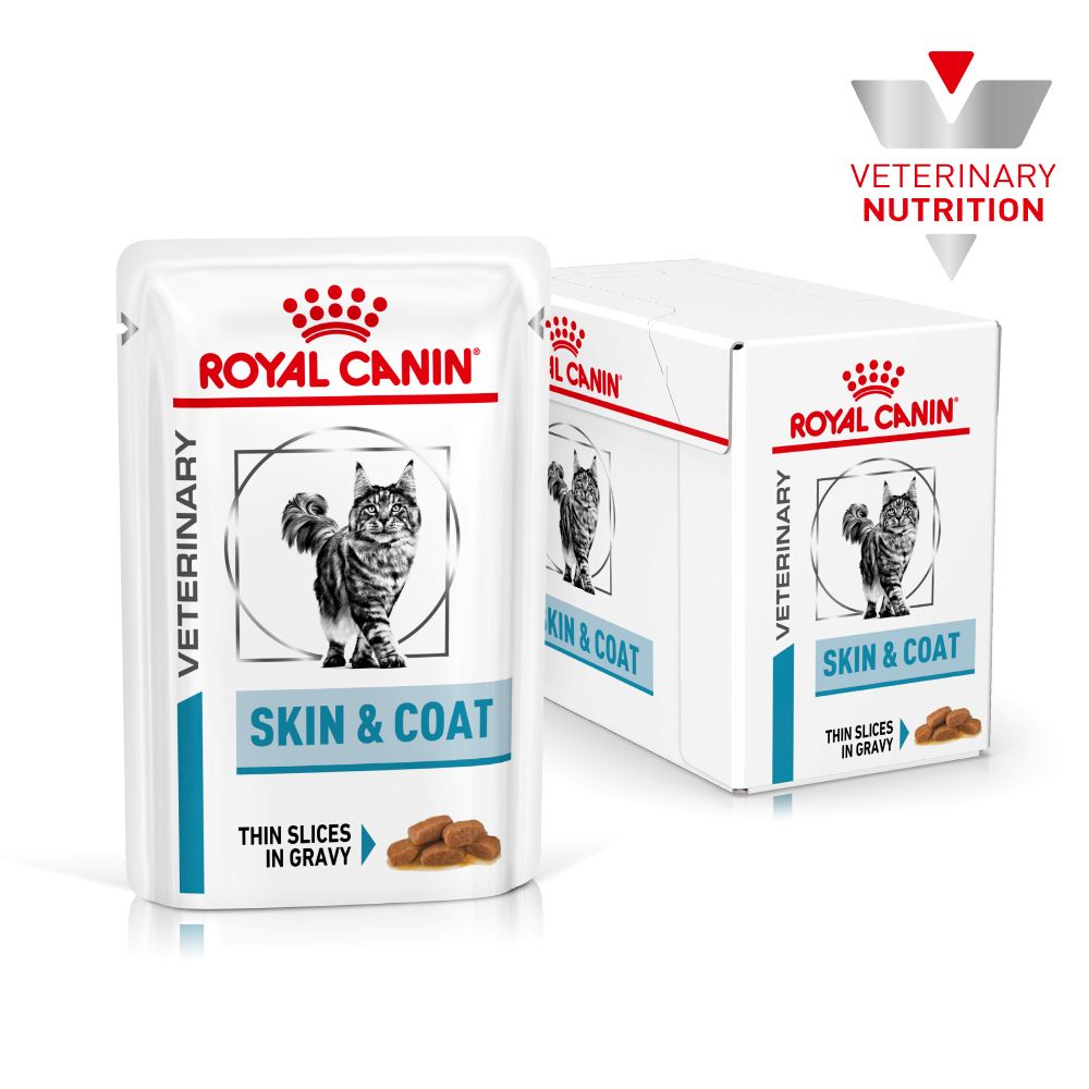 Royal Canin Skin & Coat Adult Wet Cat Food Thin Slices In Gravy - 48 x 85g