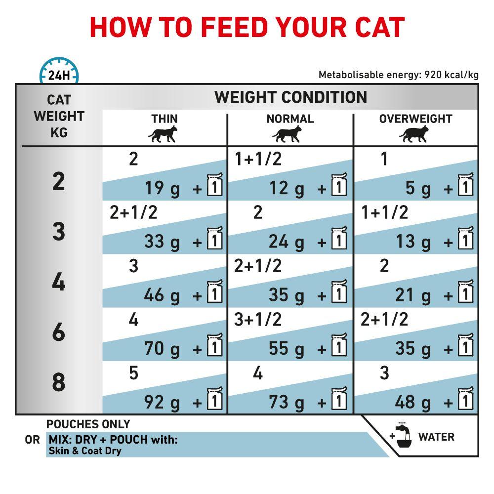 Royal Canin Skin & Coat Adult Wet Cat Food Thin Slices In Gravy - 48 x 85g