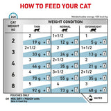 Royal Canin Skin & Coat Adult Wet Cat Food Thin Slices In Gravy - 48 x 85g