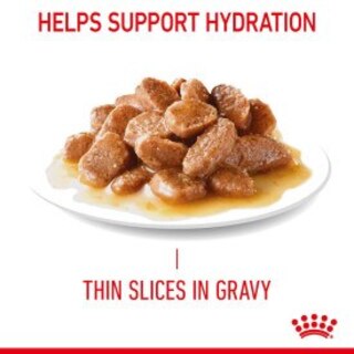 Royal Canin Light Weight Care in Gravy Adult Wet Cat Food - 12 x 85g