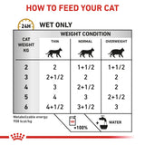 Royal Canin Urinary S/O Morsels in Gravy Adult Wet Cat Food - 48 x 85g