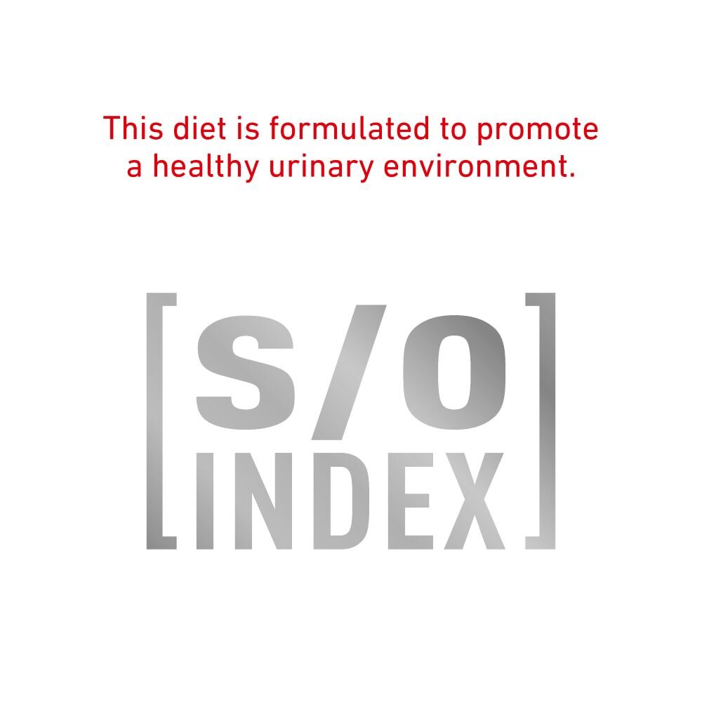 Royal Canin Skin & Coat Adult Dry Cat Food - 3.5kg