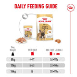Royal Canin French Bulldog Adult Wet Dog Food 12 x 85g
