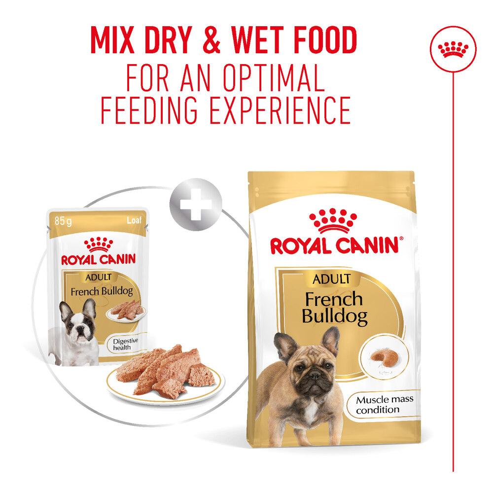 Royal Canin French Bulldog Adult Wet Dog Food 12 x 85g