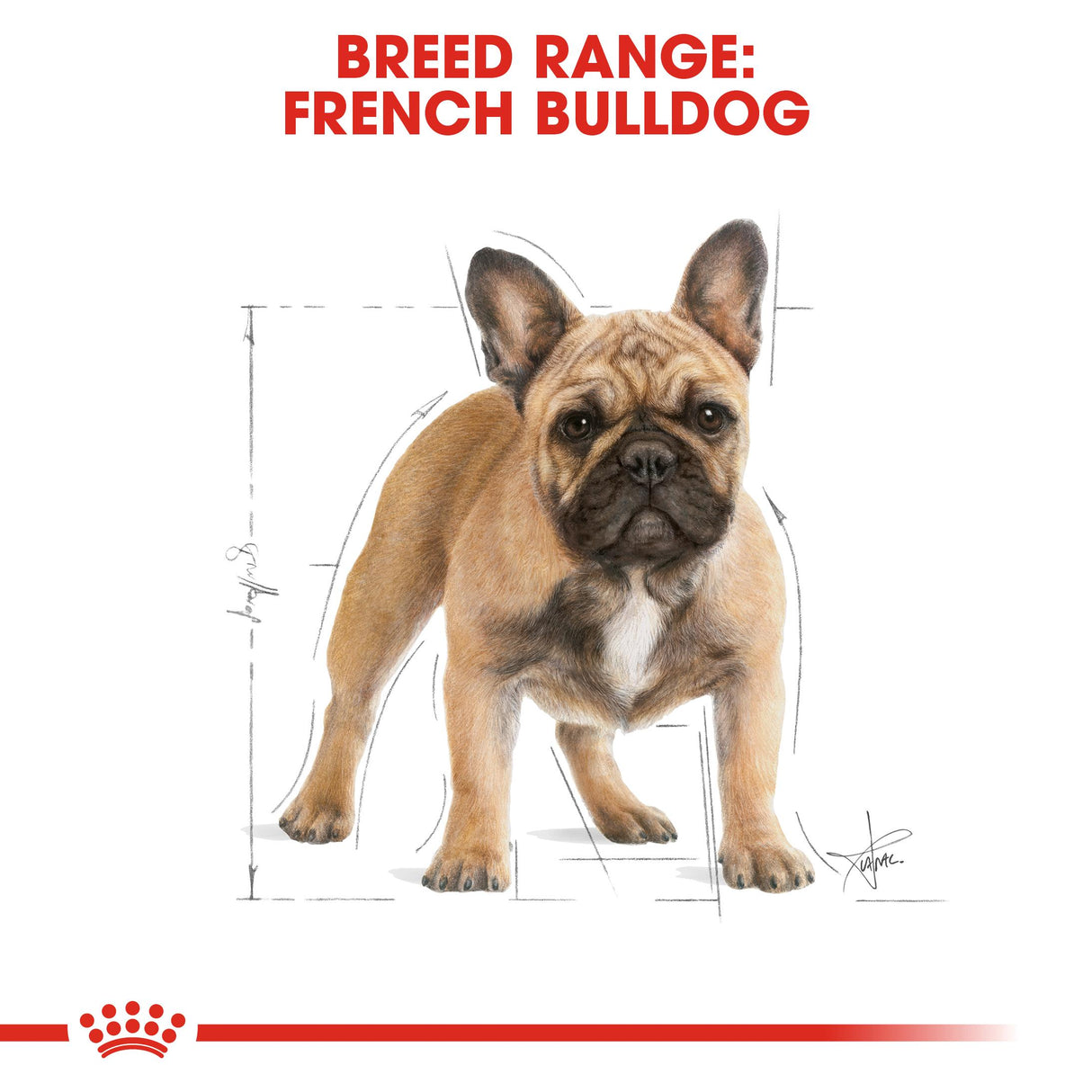 Royal Canin French Bulldog Dry Dog Food - 3kg