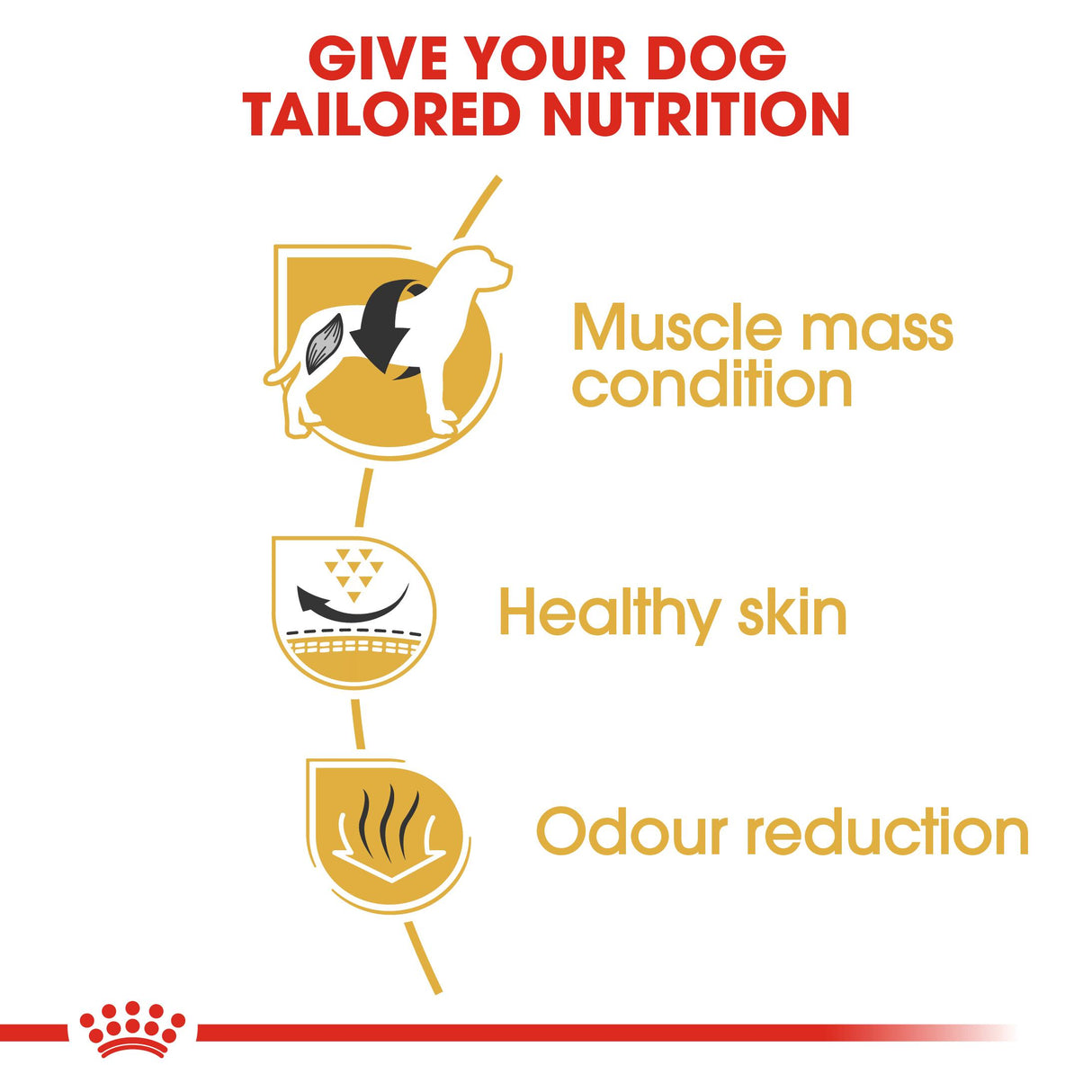 Royal Canin French Bulldog Dry Dog Food - 3kg