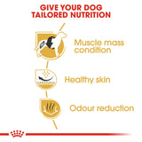 Royal Canin French Bulldog Dry Dog Food - 3kg
