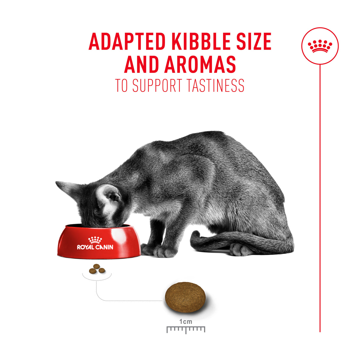 Royal Canin Fussy Adult Dry Cat Food - 2kg
