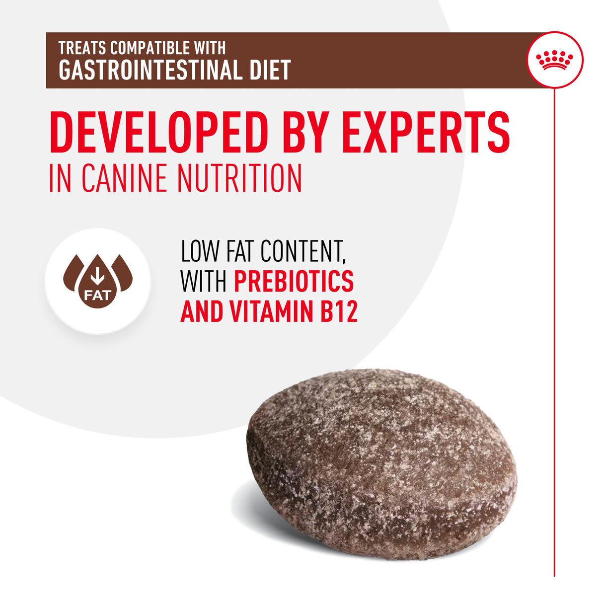 Royal Canin Gastrointestinal Dog Treats - 230g