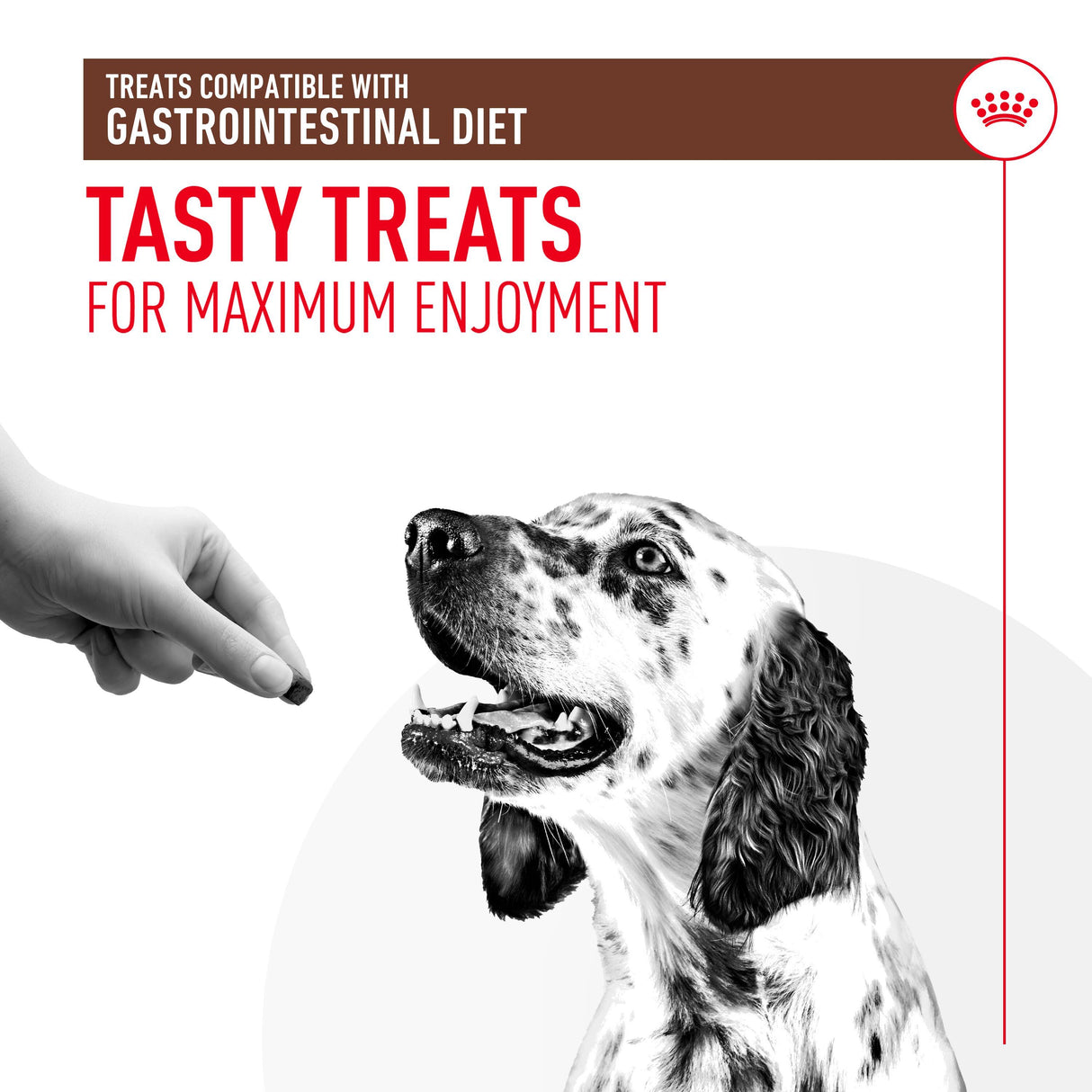 Royal Canin Gastrointestinal Dog Treats - 230g