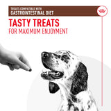 Royal Canin Gastrointestinal Dog Treats - 230g