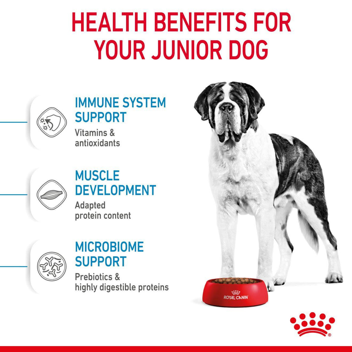 Royal Canin Giant Junior Dry Dog Food - 15kg