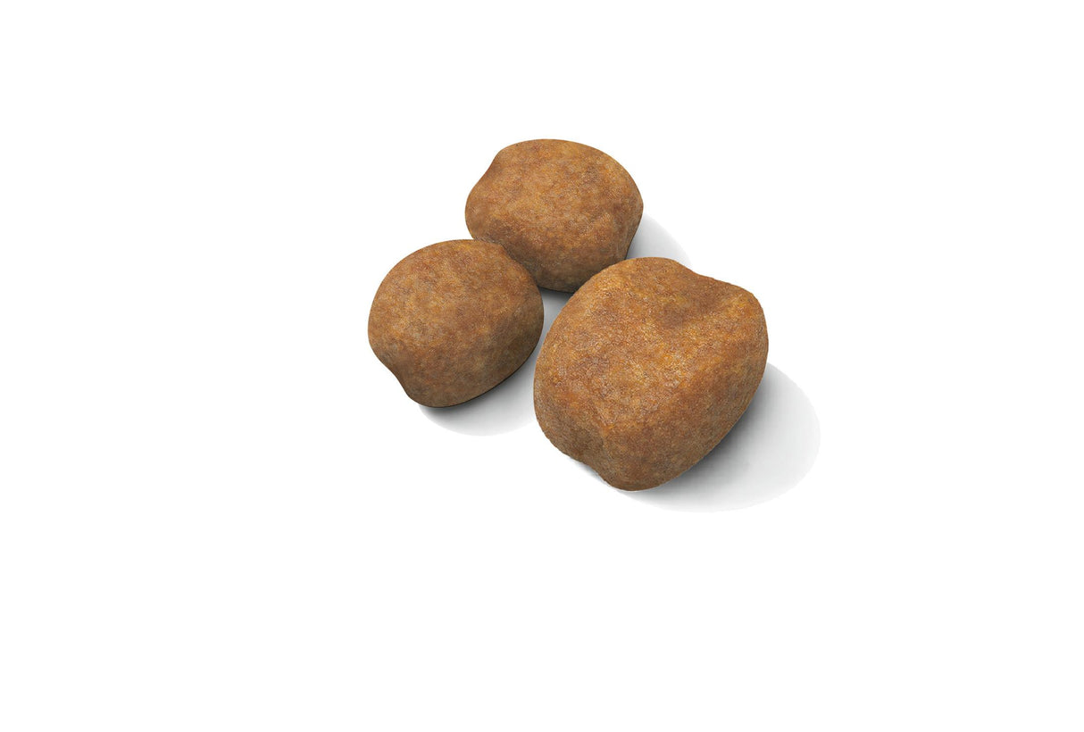 Royal Canin Giant Puppy Dry Dog Food - 15kg
