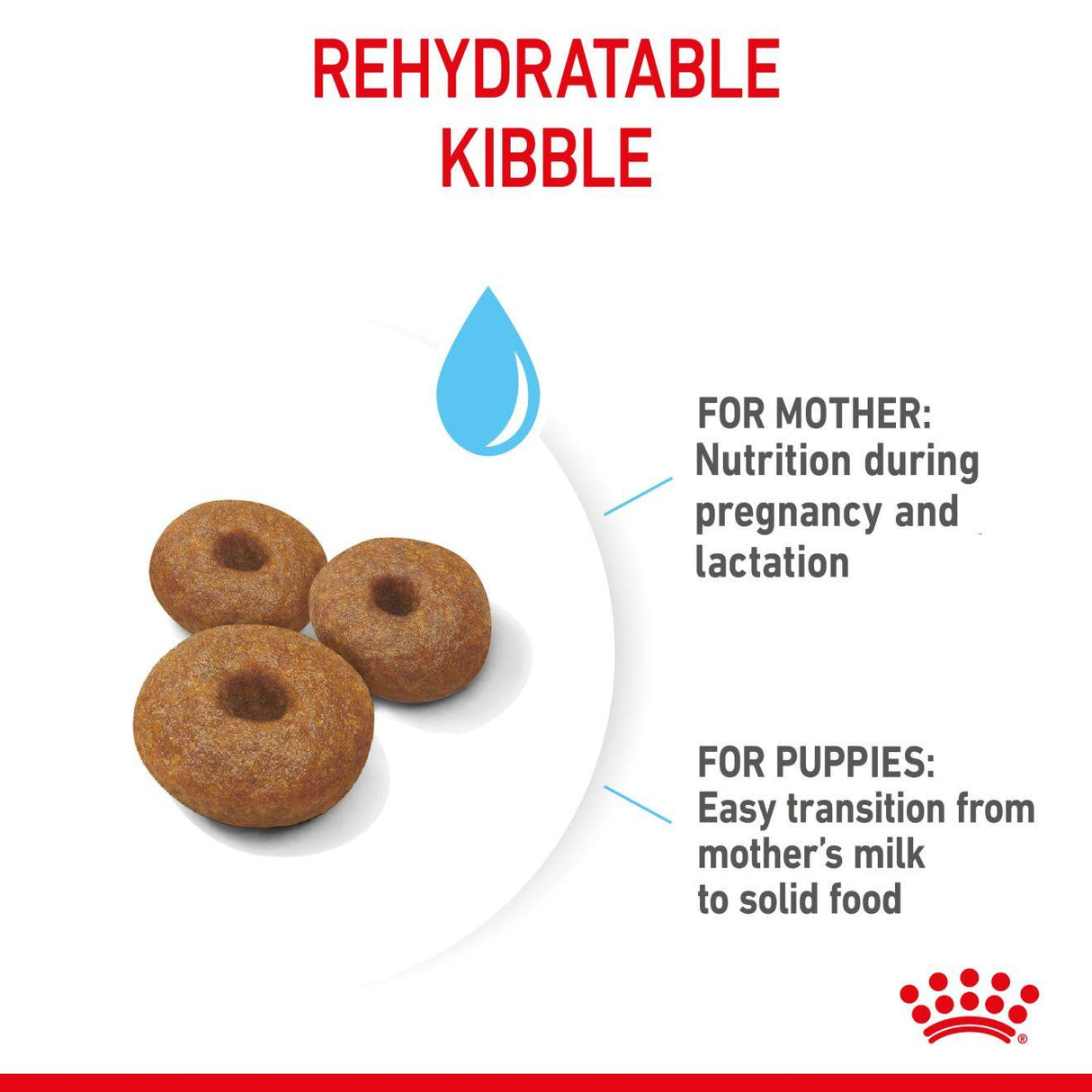 Royal Canin Giant Starter Mother and Babydog Dry Dog - 15kg