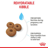 Royal Canin Giant Starter Mother and Babydog Dry Dog - 15kg