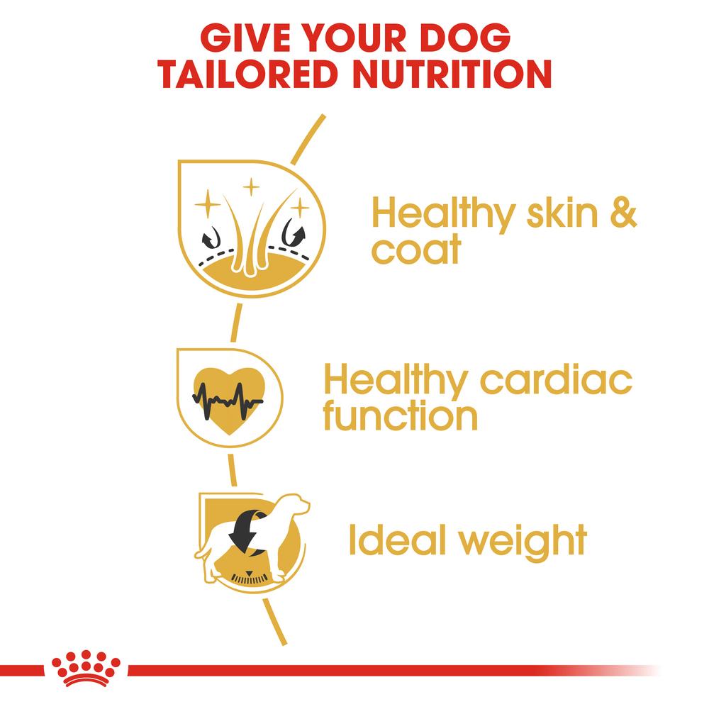 Royal Canin Golden Retriever Adult Dry Dog Food 15kg