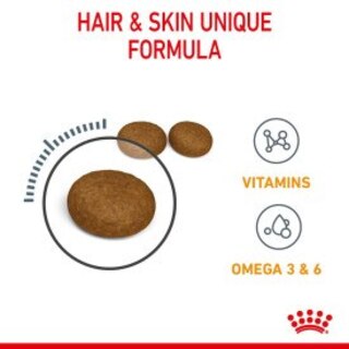 Royal Canin Hair & Skin Dry Cat Food - 2kg