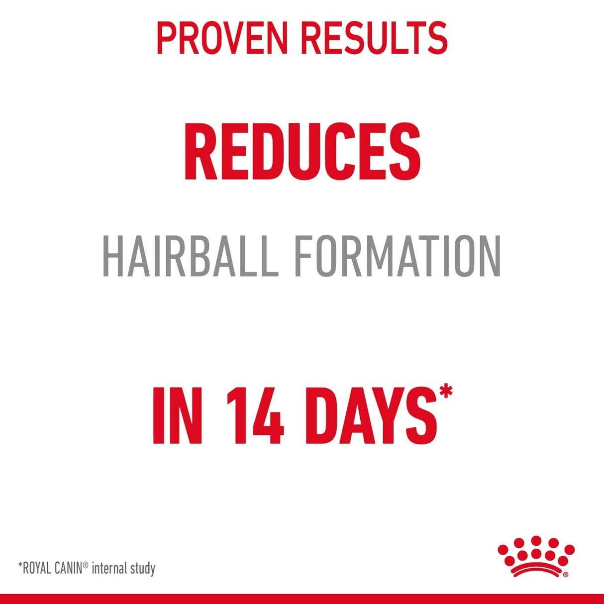 Royal Canin Hairball Care Dry Cat Food - 10kg