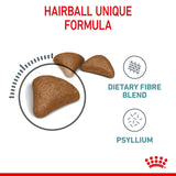 Royal Canin Hairball Care Dry Cat Food - 4kg