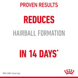 Royal Canin Hairball Care Dry Cat Food - 4kg