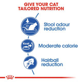 Royal Canin Feline Health Nutrition Indoor 27 Adult Dry Cat Food - 400G