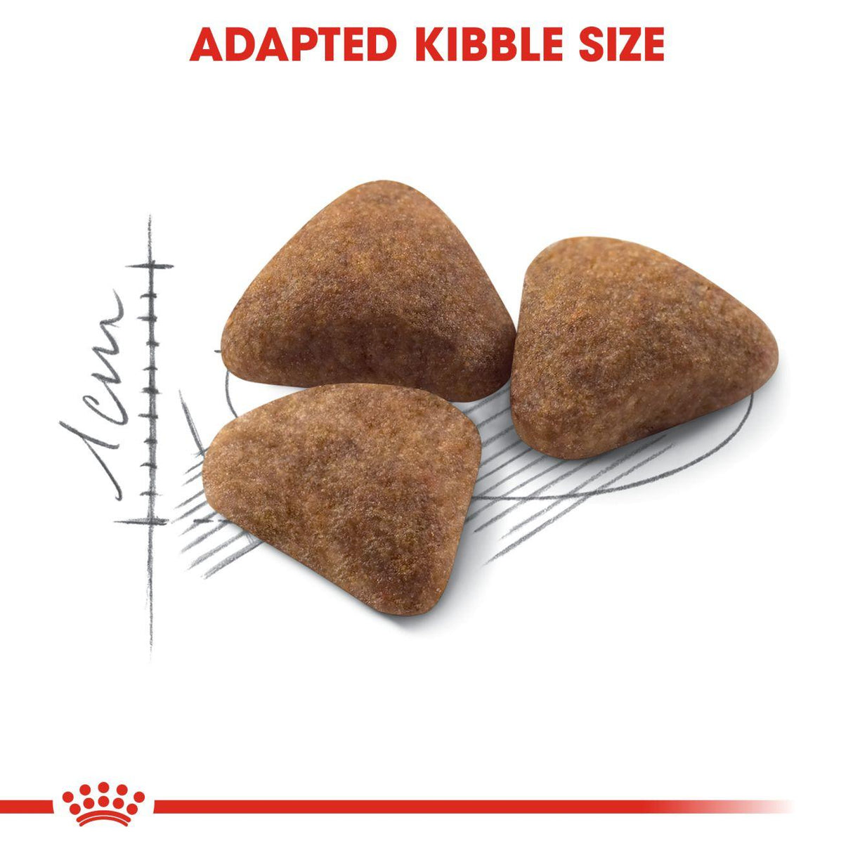 Royal Canin Feline Health Nutrition Indoor 27 Adult Dry Cat Food - 400G