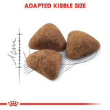 Royal Canin Feline Health Nutrition Indoor 27 Adult Dry Cat Food - 400G